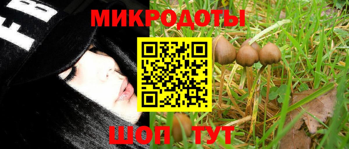 Галлюциногенные грибы Psilocybe  Вход с VPN  Вятские Поляны 
